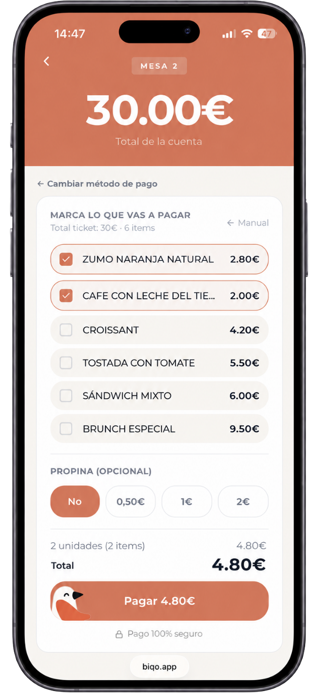 Pantalla de pago con foto del ticket